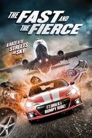 The Fast and the Fierce 2017 Hindi Dual Audio 480p BluRay 300MB