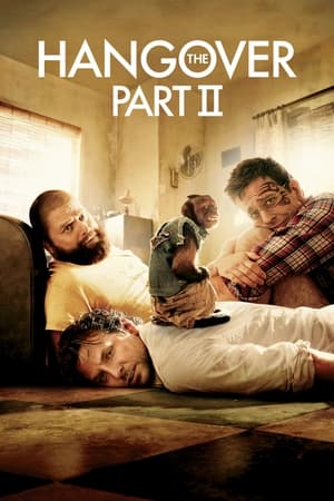 The Hangover Part II (2011) Hindi Dual Audio 720p BluRay [750MB]