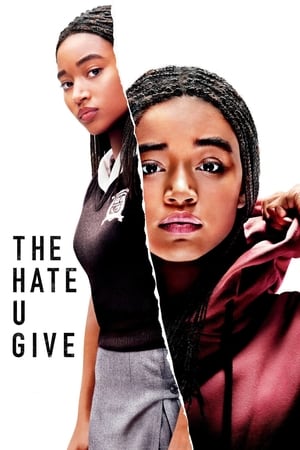 The Hate U Give (2018) Hindi Dual Audio 720p BluRay [1.2GB]