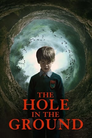 The Hole in the Ground 2019 Hindi Dual Audio 720p BluRay [830MB]