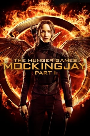 The Hunger Games: Mockingjay - Part 1 (2014) Hindi Dual Audio 720p BluRay [1.1GB]