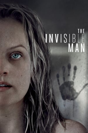 The Invisible Man (2020) Hindi (ORG) Dual Audio 720p BluRay [1GB]