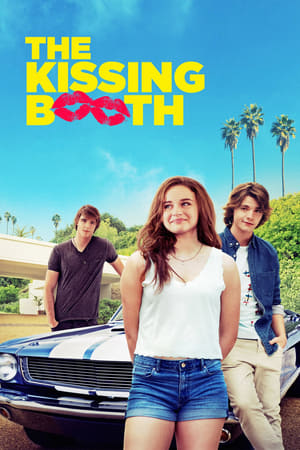 The Kissing Booth 2018 Hindi Dual Audio 480p Web-DL 350MB