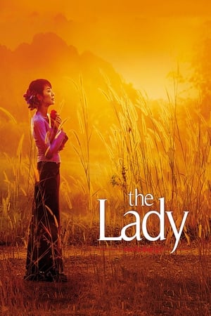 The Lady 2011 Dual Audio Hindi 480p Bluray 400MB
