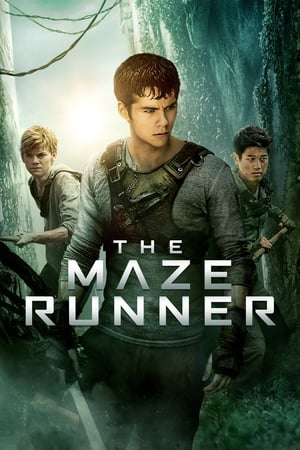 The Maze Runner (2014) Hindi Dual Audio 720p BluRay [1.1GB]