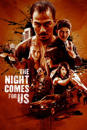 The Night Comes for Us (2018) Hindi Dual Audio 480p Web-DL 450MB