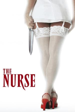 The Nurse (1997) Hindi Dual Audio 480p Uncut DVDRip 340MB