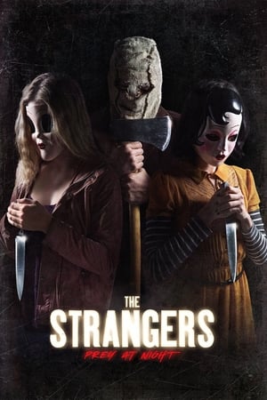 The Strangers: Prey at Night (2018) Hindi Dual Audio 480p BluRay 300MB