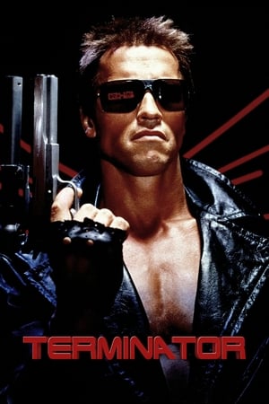 The Terminator (1984) Hindi Dual Audio 720p BluRay [800MB]