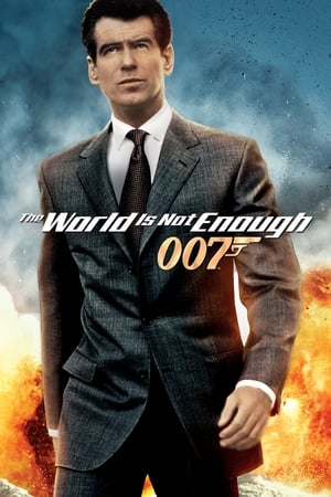 The World Is Not Enough (1999) Hindi Dual Audio 720p BluRay [1GB]