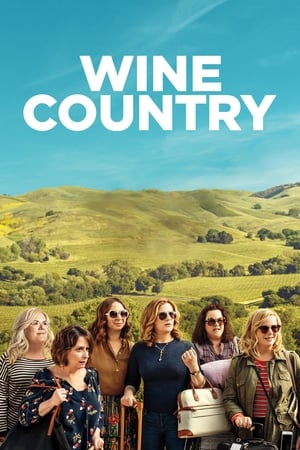 Wine Country (2019) Hindi Dual Audio 480p Web-DL 350MB