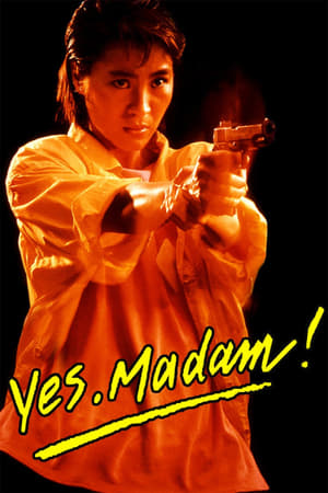 Yes Madam 1985 Hindi Dubbed BRRip 720p [900MB] Download